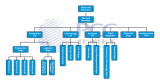 Organigramme
